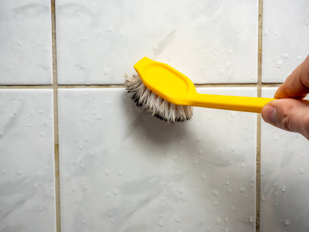 Best Mold Damage Repair  in Laredo, TX