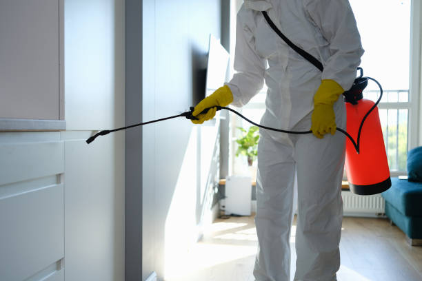Best Residential Mold Removal  in Laredo, TX
